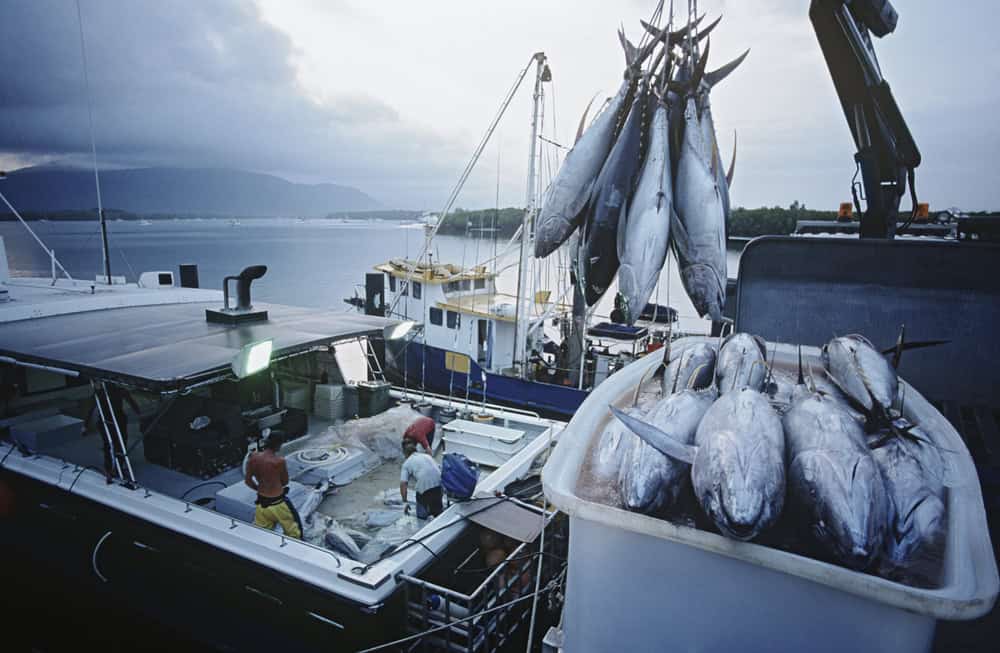 6. Full Traceability